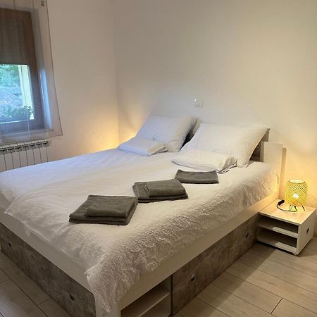 Apartma Anze Samec Dobravlje Luaran gambar