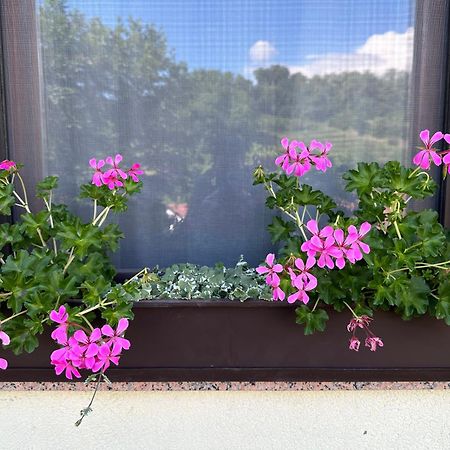 Apartma Anze Samec Dobravlje Luaran gambar