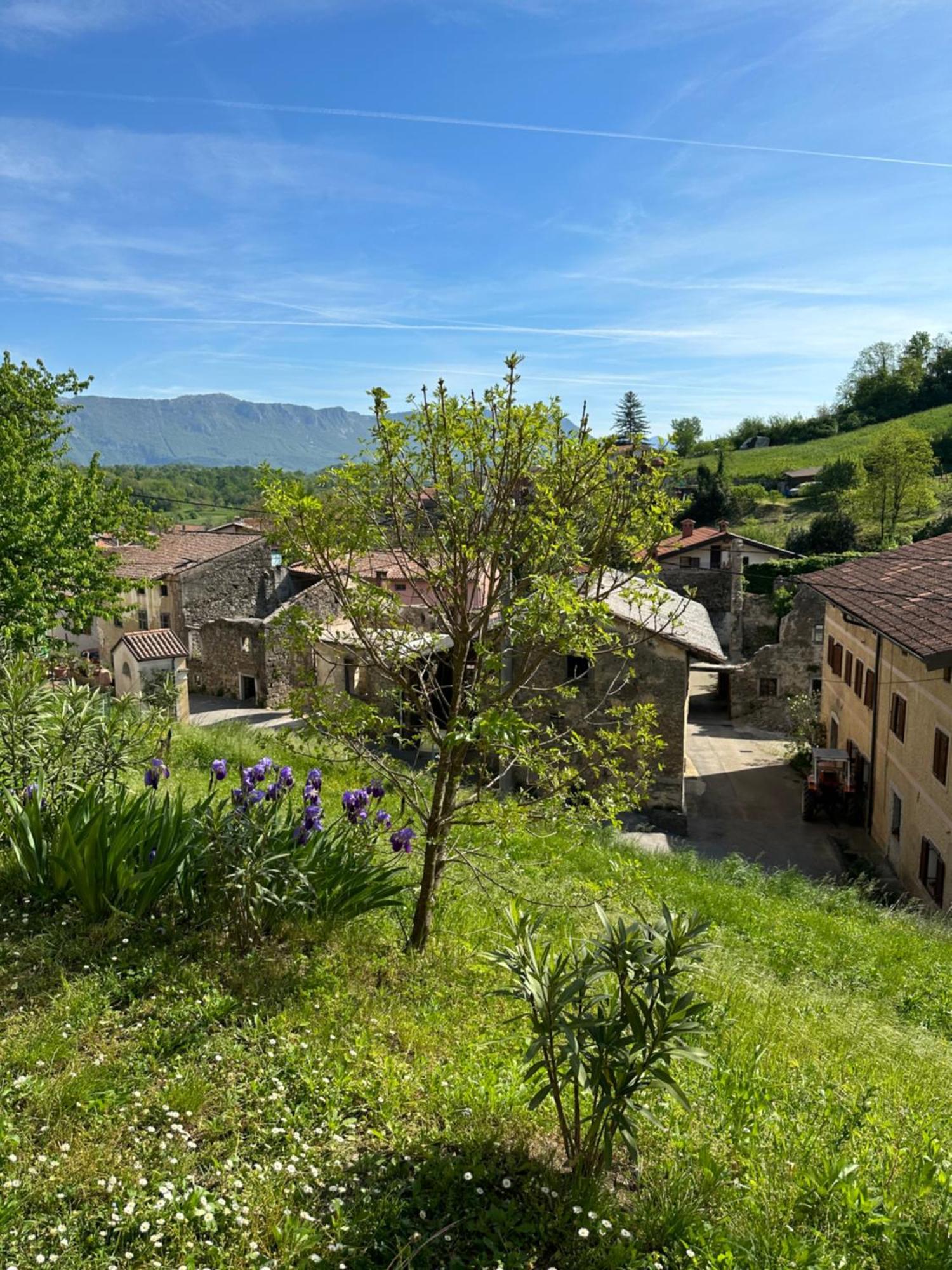 Apartma Anze Samec Dobravlje Luaran gambar