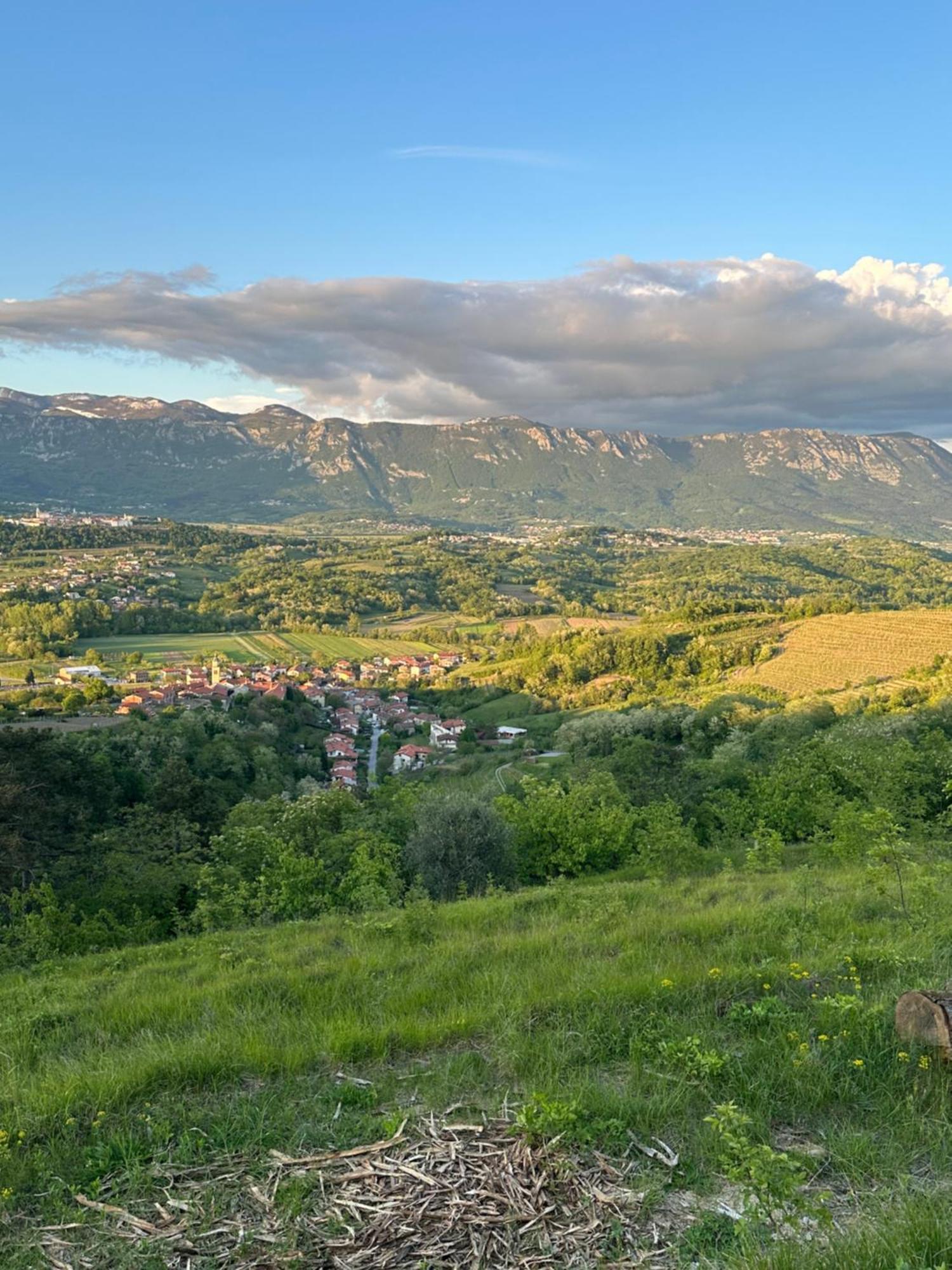 Apartma Anze Samec Dobravlje Luaran gambar