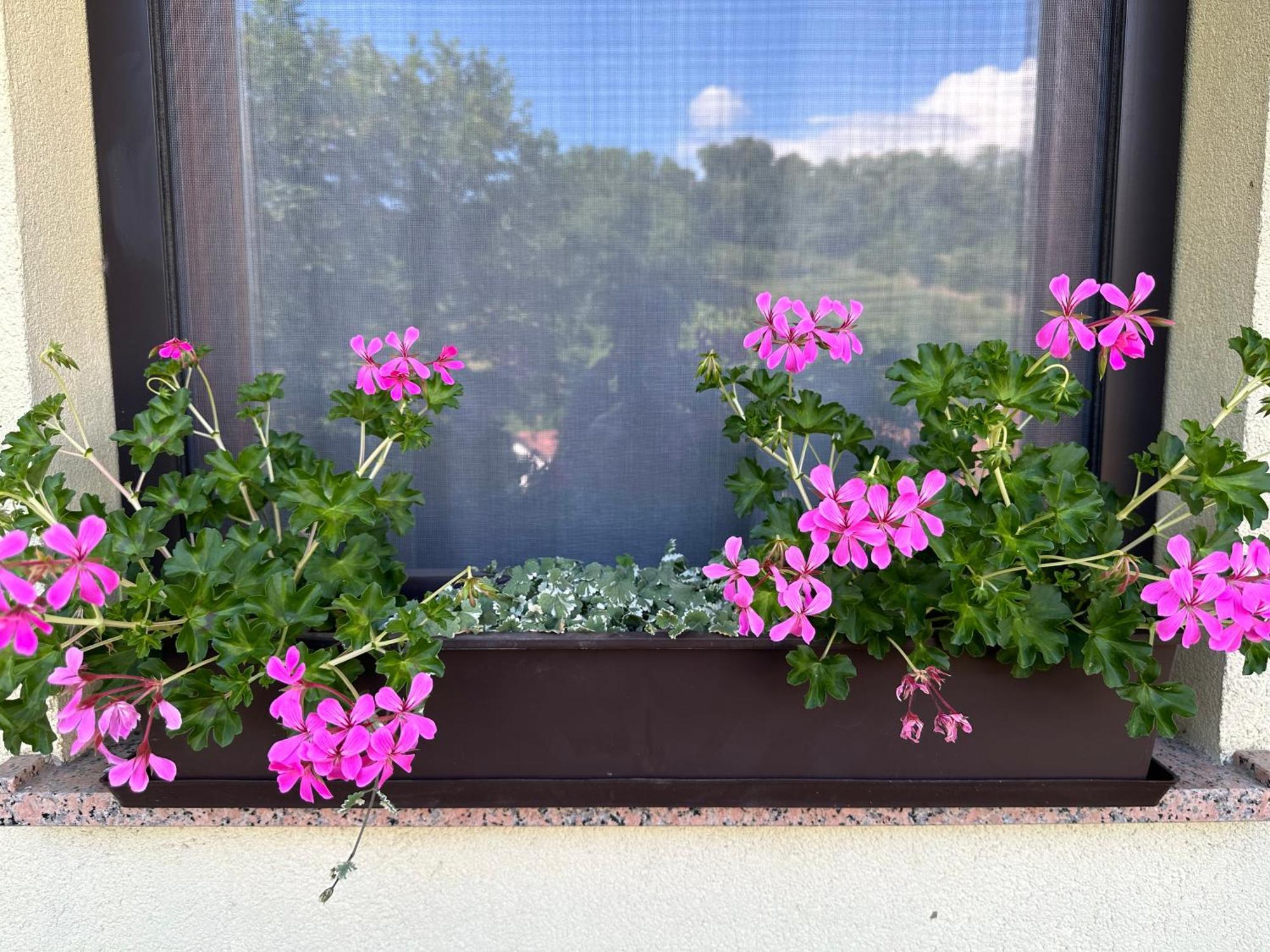 Apartma Anze Samec Dobravlje Luaran gambar